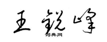 梁锦英王锐峰草书个性签名怎么写