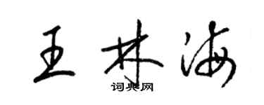 梁锦英王林海草书个性签名怎么写