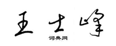 梁锦英王士峰草书个性签名怎么写