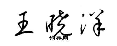梁锦英王晓洋草书个性签名怎么写