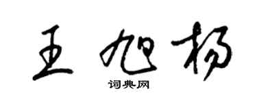 梁锦英王旭杨草书个性签名怎么写