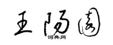 梁锦英王阳园草书个性签名怎么写