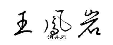 梁锦英王凤岩草书个性签名怎么写