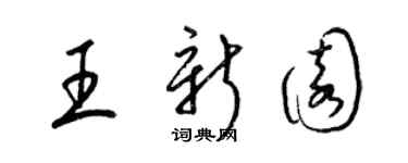 梁锦英王新园草书个性签名怎么写