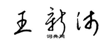 梁锦英王新沛草书个性签名怎么写