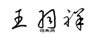 梁锦英王羽祥草书个性签名怎么写