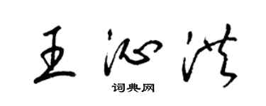 梁锦英王沁洪草书个性签名怎么写