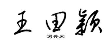 梁锦英王田颖草书个性签名怎么写