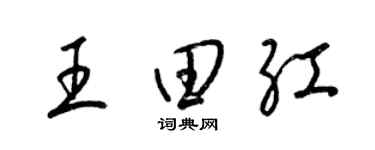 梁锦英王田红草书个性签名怎么写