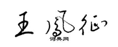 梁锦英王凤征草书个性签名怎么写