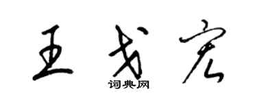 梁锦英王戈宏草书个性签名怎么写