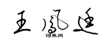 梁锦英王凤廷草书个性签名怎么写