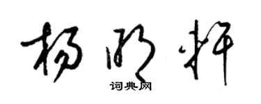 梁锦英杨明轩草书个性签名怎么写