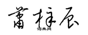 梁锦英萧梓辰草书个性签名怎么写