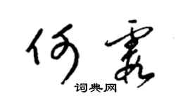 梁锦英何霞草书个性签名怎么写