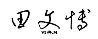 梁锦英田文博草书个性签名怎么写