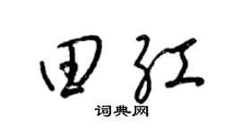 梁锦英田红草书个性签名怎么写