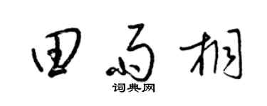 梁锦英田雨桐草书个性签名怎么写