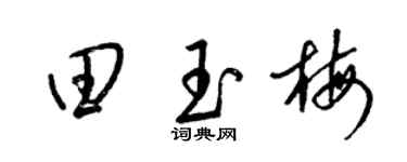 梁锦英田玉梅草书个性签名怎么写