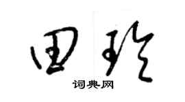 梁锦英田玲草书个性签名怎么写