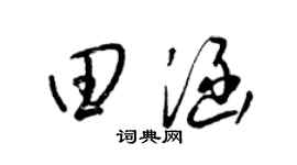 梁锦英田涵草书个性签名怎么写