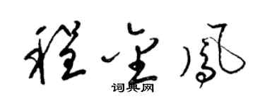 梁锦英程金凤草书个性签名怎么写