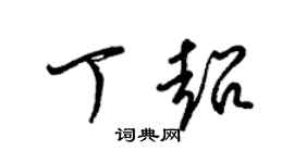 梁锦英丁超草书个性签名怎么写