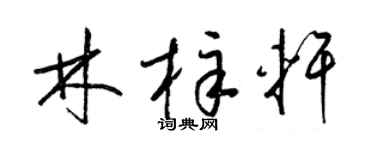 梁锦英林梓轩草书个性签名怎么写