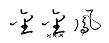 梁锦英金金凤草书个性签名怎么写