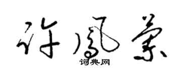 梁锦英许凤兰草书个性签名怎么写