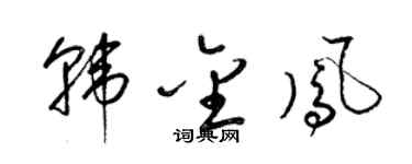 梁锦英韩金凤草书个性签名怎么写