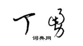 梁锦英丁勇草书个性签名怎么写