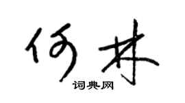 梁锦英何林草书个性签名怎么写