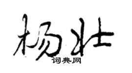 曾庆福杨壮行书个性签名怎么写