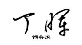 梁锦英丁晖草书个性签名怎么写