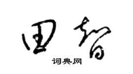 梁锦英田智草书个性签名怎么写