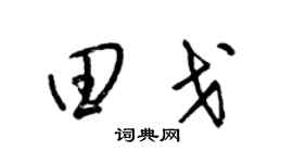 梁锦英田戈草书个性签名怎么写