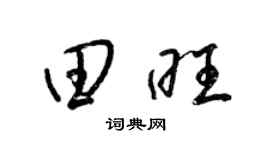 梁锦英田旺草书个性签名怎么写