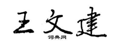 曾庆福王文建行书个性签名怎么写