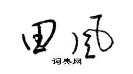 梁锦英田风草书个性签名怎么写