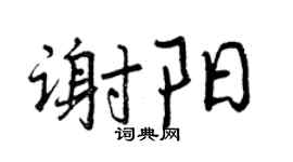 曾庆福谢阳行书个性签名怎么写