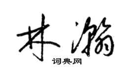 梁锦英林瀚草书个性签名怎么写