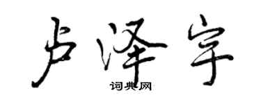 曾庆福卢泽宇行书个性签名怎么写