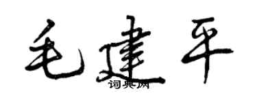 曾庆福毛建平行书个性签名怎么写