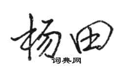 骆恒光杨田行书个性签名怎么写