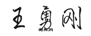 骆恒光王勇刚行书个性签名怎么写