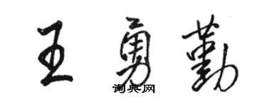 骆恒光王勇勤行书个性签名怎么写