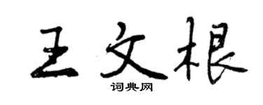 曾庆福王文根行书个性签名怎么写