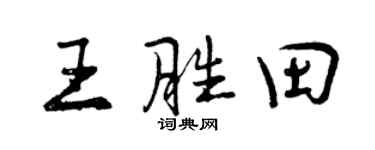 曾庆福王胜田行书个性签名怎么写