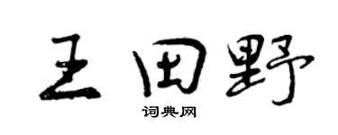 曾庆福王田野行书个性签名怎么写